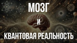 ГОТОВ ЛИ МОЗГ К КВАНТОВОМУ МИРУ? Начните осваивать эти идеи как можно скорее.