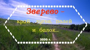 ЗВЕРЕВО - край лугов, полей и балок.../2020 г.