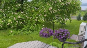 После Дождя, природа