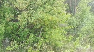 Обь. Каракан. Лодка. Сибирские необьятные просторы