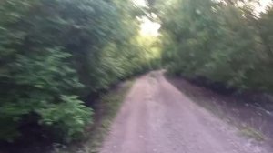 Заброшенная территория рядом с деревней.