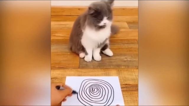 Засмеялся - проиграл