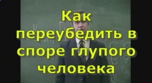 Как переубедить в споре глупого человека