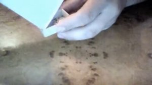 Как сделать порох