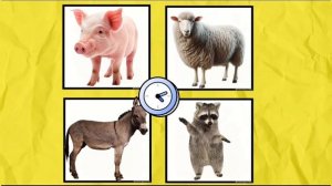 Ең оңай сөздер! Жануарларды дауысы арқылы анықта! Звук