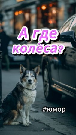 #юмор Украли колёса у машины