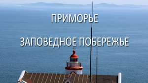 ПРИМОРЬЕ. ЗАПОВЕДНОЕ ПОБЕРЕЖЬЕ.