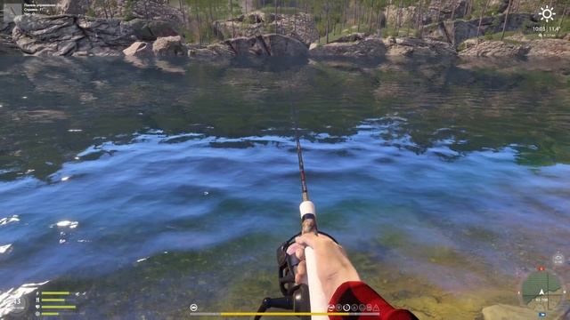 Форель озерная троф оз Куори рр4 смотреть онлайн