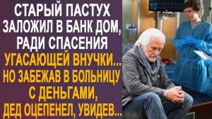 Старый пастух заложил в банк дом, ради спасения угасающей внучки... Но забежав в больницу с деньгами