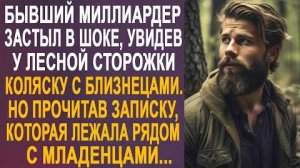 Бывший миллиардер застыл в шоке, увидев у лесной сторожки коляску с близнецами. Но прочитав записку