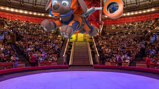 песня про Рокки зума леди баг клип на русском субтитры смотреть онлайн