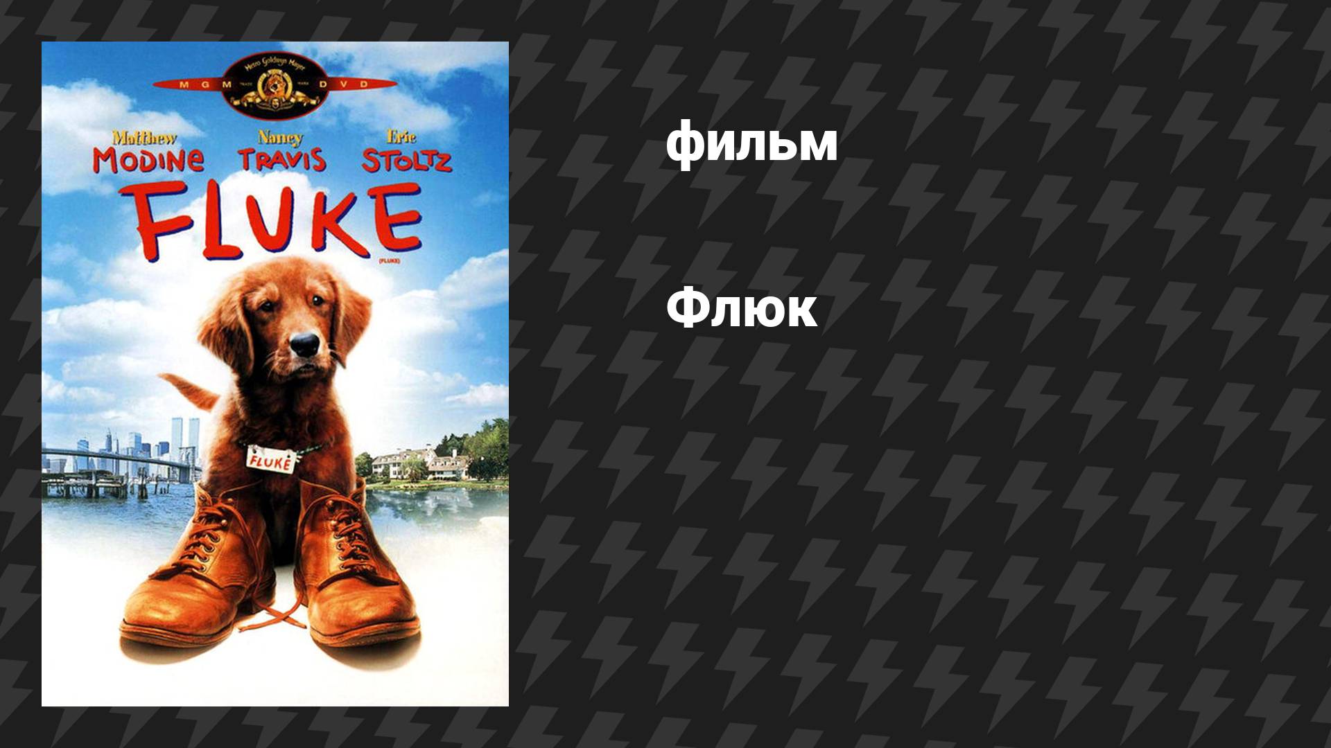 Флюк (фильм, 1995)
