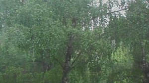 Гроза 8 июня 2025 года. DSCN6481