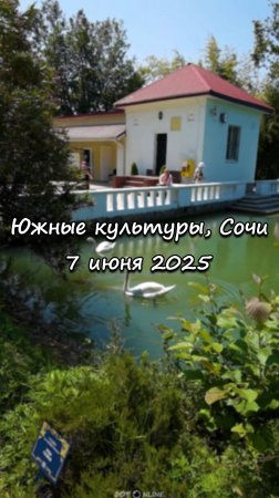 Парк Южные культуры, Сириус, Сочи. 7 июня 2025