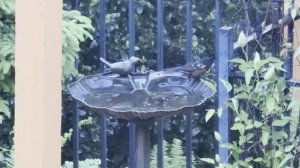 2025-05-11 ванна во дворе