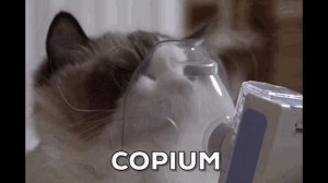 😻выбиваю Альфу и показываю это кошке - Skullgirls Mobile