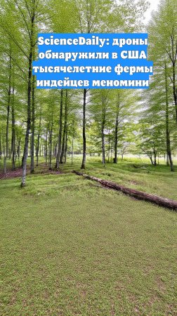 ScienceDaily: дроны обнаружили в США тысячелетние фермы индейцев меномини