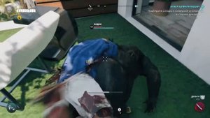 ключи от загона для коз dead island 2