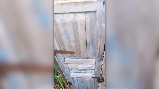 НЕВЕРОЯТНЫЕ МОМЕНТЫ, СНЯТЫЕ НА КАМЕРУ