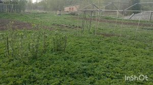 Майские праздники 2025. Тверская область.