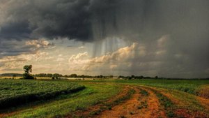 Вадим Утемесов – Рождалась мелодия просто (2025, AI SUNO)