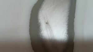 капот Мицубиси