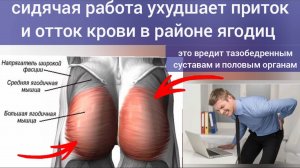 Спайка ягодичной линии вредит тазобедренным суставам. Как оживить придушенные ягодицы?