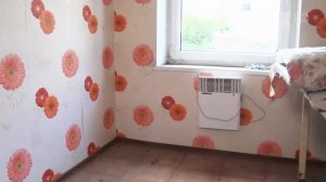 На обед — снотворный чай? Мужское / Женское. Выпуск от 0