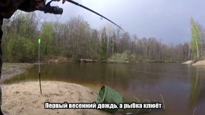 Весенний дождь, а рыбка клюёт!