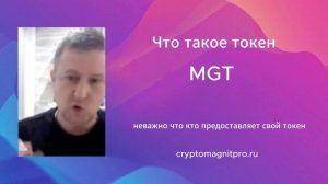 Что такое токен MGT в Magnet