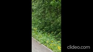 МЫТИЩИНСКИЙ ПАРК, МОИ ВЕЛОСИПЕДНЫЕ ПОКАТУШКИ :)