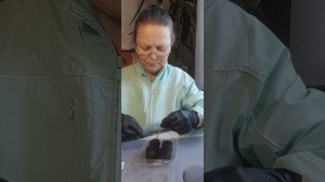 Сею семена пассифлоры съедобной | Ирина Родина