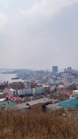 Владивосток. Орлиная сопка. Вид на бухту Золотой рог, Амурский залив, полуостров Эгершельд