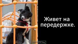 Позвоните, они очень ждут