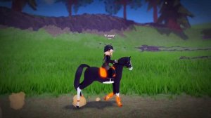 ВЛОГ: тренировка на Лауре/поход к ковалю/новые лошади/R