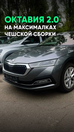 Двухлитровая Октавия Стайл из Казахстана. Переплатить за чешскую сборку или взять китайца?