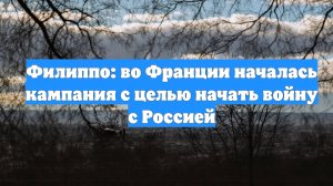 Филиппо: во Франции началась кампания с целью начать войну с Россией