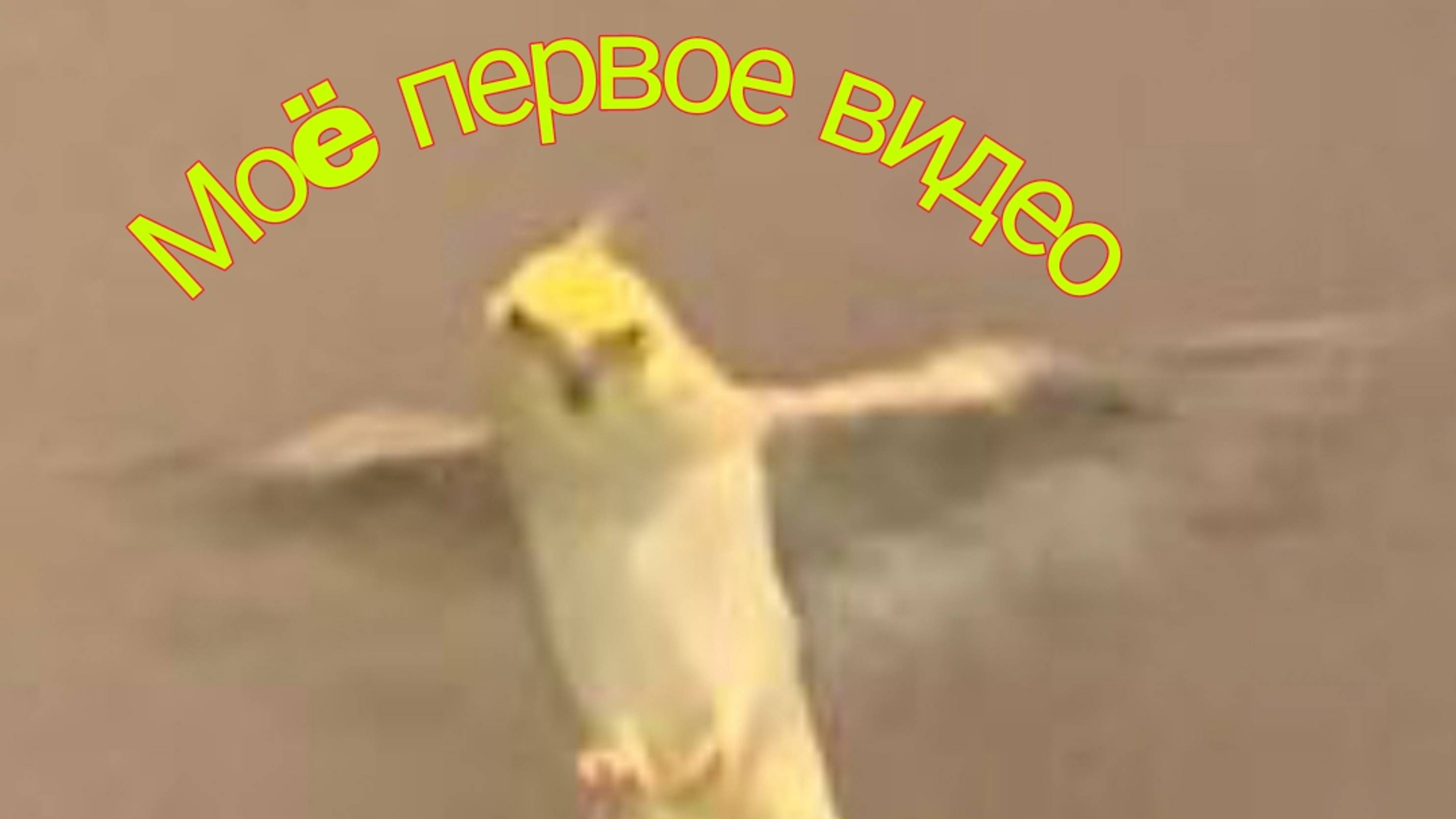 Моë первое видео.