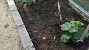 С праздником 🌺💐 Не могу проснуться на работу 🥱