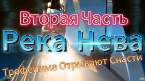 ТРОФЕЙНЫЕ РВУТ СНАСТИ ГОРОД СПБ РЕКА НЕВА РЫБАЛКА НА ОКУНЯ ДРОШОТ ОТВОДНОЙ ДОНКА