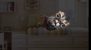 роблокс удалила мне мама анимация коты