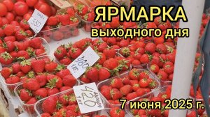Краснодар - Ярмарка выходного дня на ул. Одесская - цены на продукты - 7 июня 2025 г.