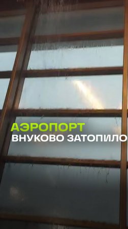 Тропические дожди: аэропорт Внуково под водой