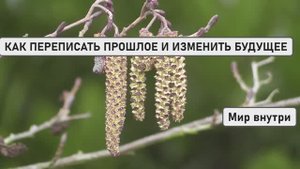 КАК ПЕРЕПИСАТЬ ПРОШЛОЕ И ИЗМЕНИТЬ БУДУЩЕЕ | Разблокировка скрытого потенциала