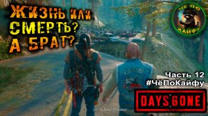 Days Gone (Жизнь после) Часть 12. Орда на лесопилке, Бухарь грустит, Рикки плавает и Чёрт Шизо =)