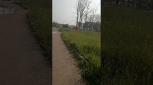 МордоР (опять)