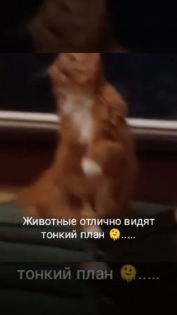 ....🫠......