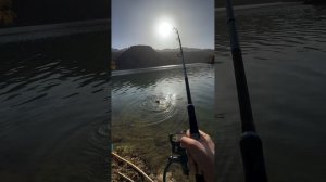 Красивая погода, отличный улов