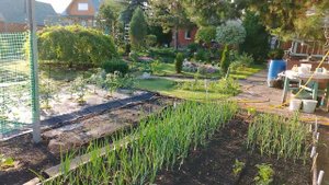 Защита виктории от птиц.