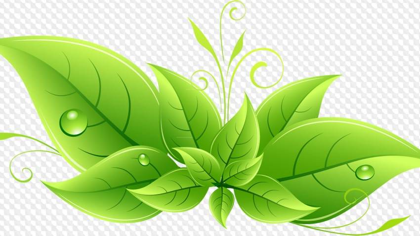 Разноцветные сказки: 2. «Зелёная сказка». Для детей дошкольного и младшего школьного возраста. смотреть онлайн